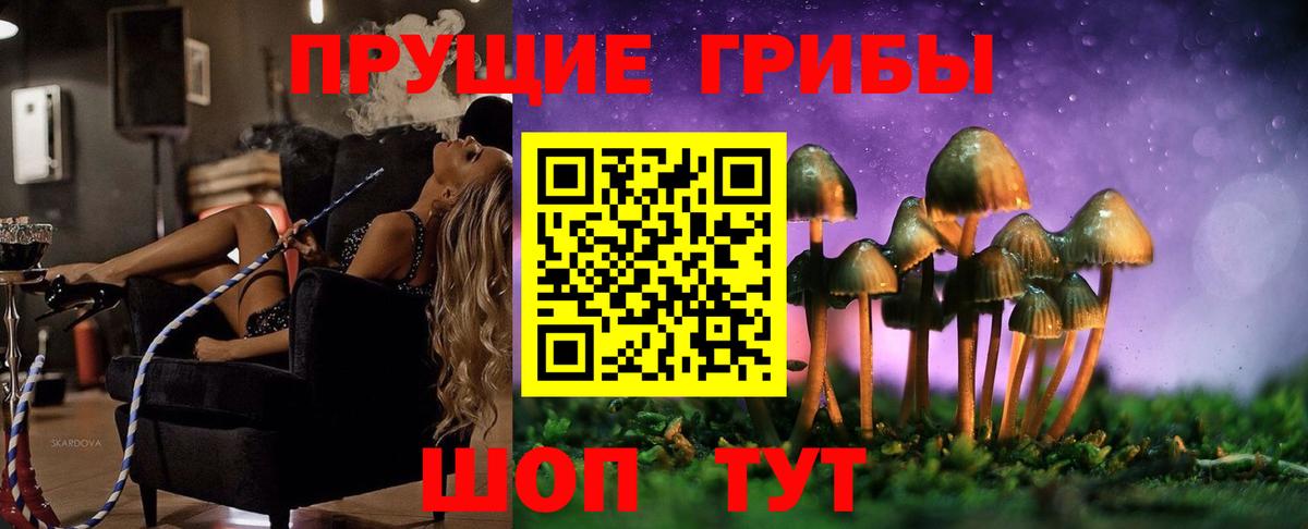Псилоцибиновые грибы GOLDEN TEACHER Камышин